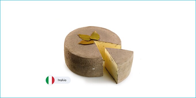 SOTTOCENERE AL TARTUFO