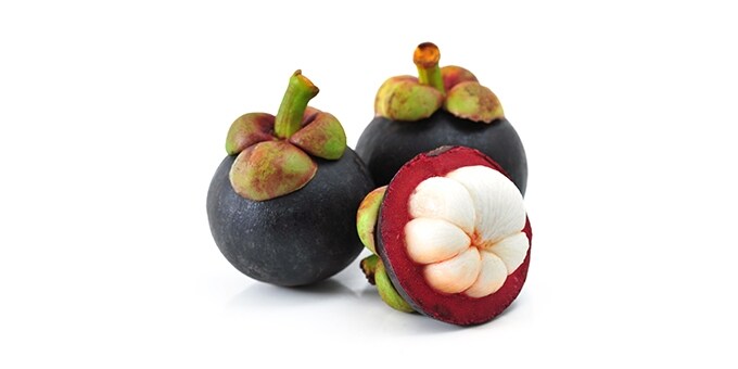 ΜΑΝΓΚΟΣΤΙΝ