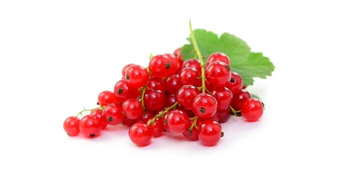 ΦΡΑΓΚΟΣΤΑΦΥΛΟ ΚΟΚΚΙΝΟ ΕΙΣ.ΤΕΜ.150Γ