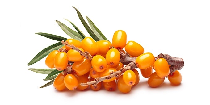 ΙΠΠΟΦΑΕΣ ΕΛΛΗΝΙΚΟ TEMAXIO 125ΓΡ