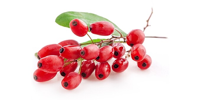 ΓΚΟΤΖΙ ΜΠΕΡΙ ΕΛΛΗΝΙΚΟ 100ΓΡ.